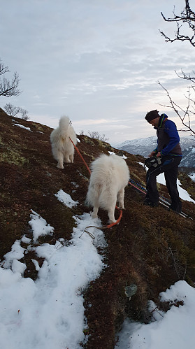 Snøen minker for hver dag, mange plussgrader.