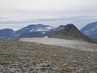 opps_20190227_5c76d04ab82a8.jpg