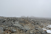 opps_20190323_5c9685bbdbe4f.jpg