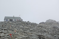 opps_20190323_5c9685c15d392.jpg