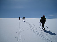opps_20190323_5c968ca81ab35.jpg