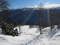 opps_20190323_5c96ab491660b.jpg