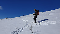 opps_20190323_5c96ab597d4ff.jpg
