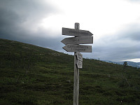 opps_20190324_5c97af52e2cc8.jpg