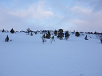 opps_20190324_5c97c1cac1a90.jpg