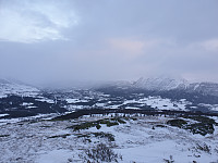 opps_20190324_5c97c1d077fce.jpg