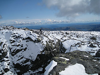 opps_20190325_5c9894a8660ce.jpg