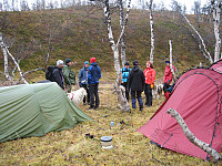opps_20190325_5c994a238c465.jpg