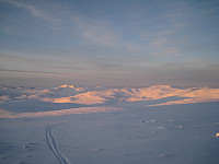 opps_20190326_5c9a17e0115b1.jpg