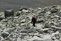 opps_20190402_5ca3bbc5701ee.jpg