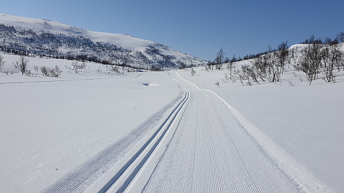 Flotte skiforhold fra Storlien og inn til Vassenden.