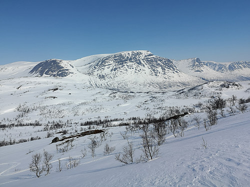 Gjevillvasskamman