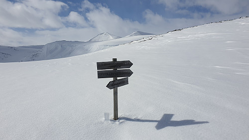 Valgte å gå ryggen oppover til Hyttdalskamben, her ved stidele til Trollheimshytta, Gjevillvasshytta og Bårdsgarden.