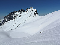 opps_20190526_5ceacb638f44e.jpg