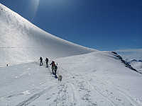 opps_20190526_5ceacb72015f1.jpg