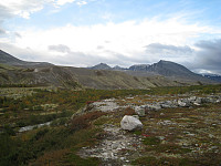 opps_20190531_5cf1029d0317a.jpg