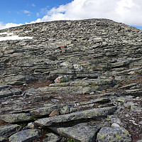 opps_20190624_5d1122ecc1c86.jpg