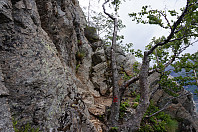 opps_20190624_5d112ce276f76.jpg
