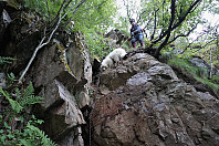 opps_20190624_5d112d4861461.jpg