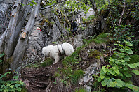 opps_20190624_5d112d54bb674.jpg