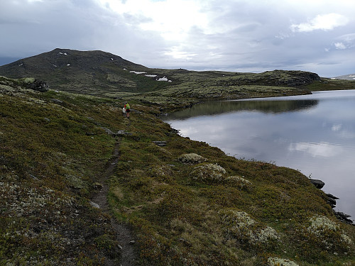  Flåfattjørna