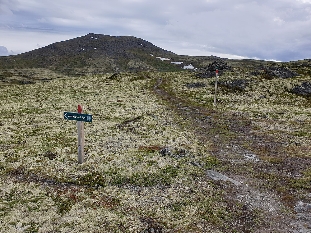  Rødalshøa midt i bilde og skilting til Måsåbua som er ei lita åpen bu, den ble benyttet i sin tid i forbindelse med mosesanking, derav navnet.
