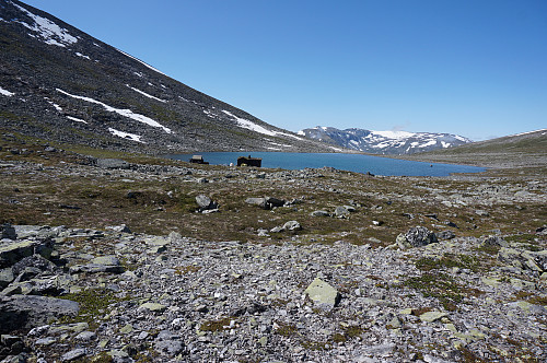Springtverråtjønna