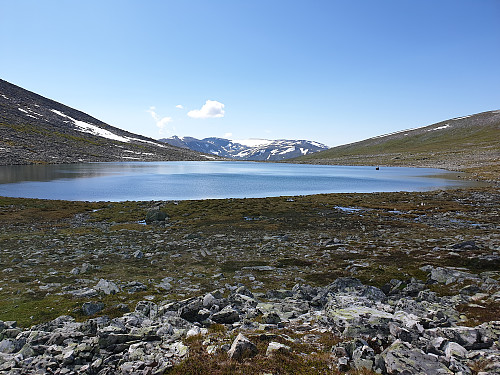 Fin rolig plass dette.