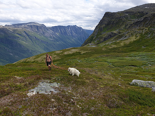 Lett å gå når vi er kommet opp på snaufjellet.