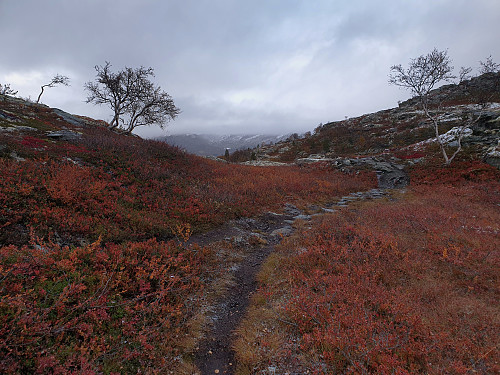 Fine høstfarger fortsatt.