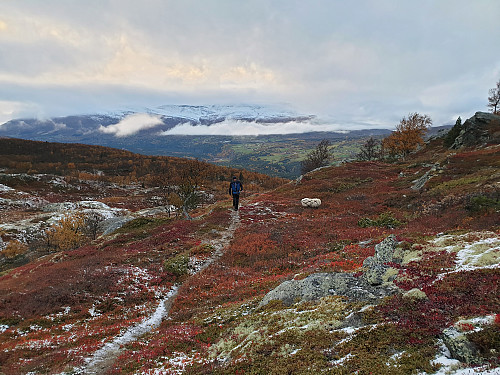 Fine høstfarger fortsatt.
