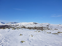 opps_20191013_5da336623b2b4.jpg