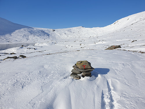 Ser innover mot Riarskaret.