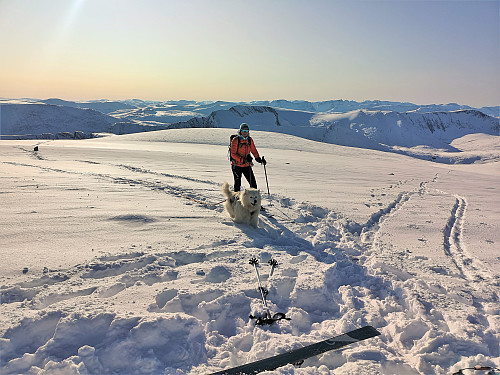 Nydelig dag til å tilbringe på ski.