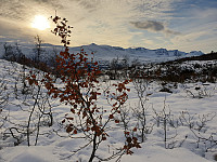 opps_20191023_5db09c14d5ba7.jpg