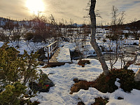 opps_20191023_5db09c30698a6.jpg