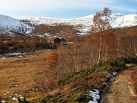 opps_20191023_5db09c5f2eeb9.jpg