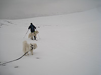 opps_20191101_5dbc2ea0b2b6e.jpg