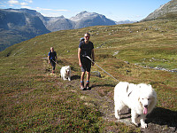 opps_20191101_5dbc4968927f3.jpg