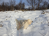 opps_20191101_5dbc5923265ff.jpg