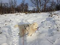 opps_20191101_5dbc592cb9bae.jpg
