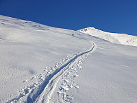 opps_20191119_5dd398171cb5b.jpg