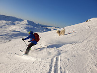 opps_20191119_5dd3983b3f3e1.jpg