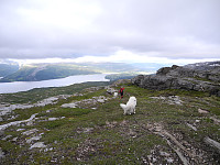 opps_20191126_5ddd7621ac9b7.jpg