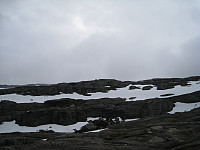 opps_20191126_5ddd765238a84.jpg