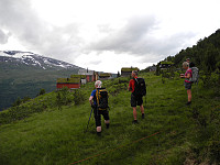 opps_20191130_5de2526e06fea.jpg