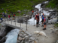 opps_20191130_5de257a619c39.jpg