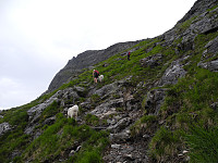 opps_20191130_5de25f53cb896.jpg
