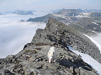 opps_20191130_5de25f6a36ecc.jpg