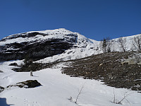 opps_20191130_5de266966d1e0.jpg
